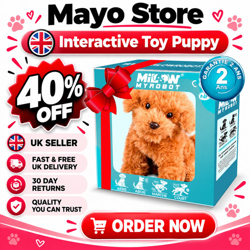 Plush teddy toy - teddy,