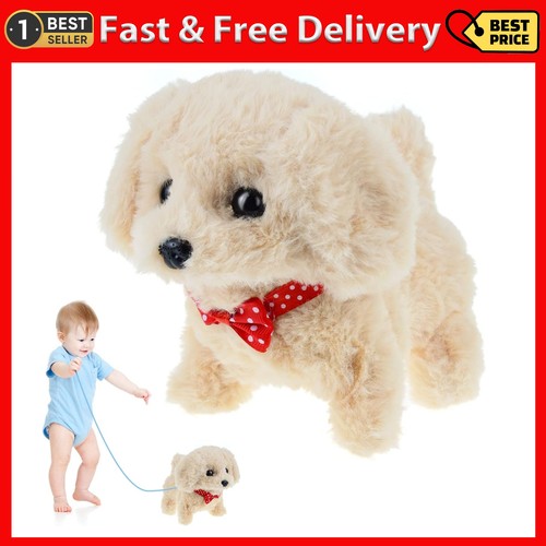 Toy dogs for year - for, 1-3
