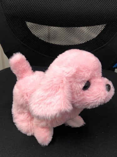 Toy cute little - , pets