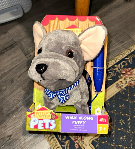 Pitter patter pets - patter, along