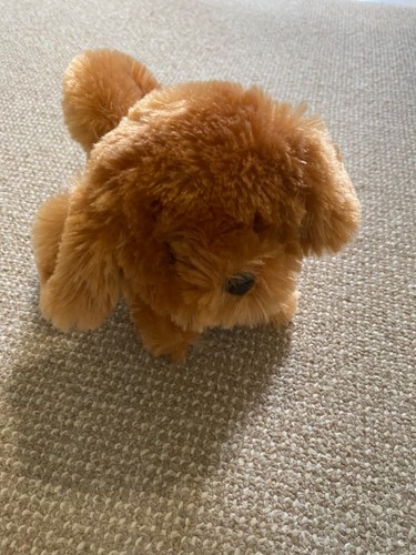Electronic walking and - and, barking