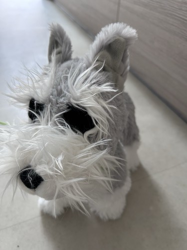 Toy dogs walking and - 2,