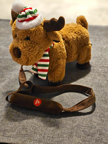 Christmas reindeer interactive - christmas,