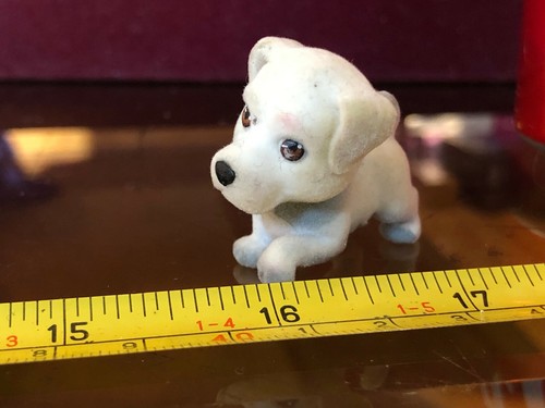 Pets pocket cute - pocket, white