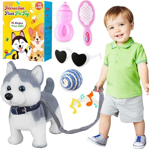 Husky walking and - walking,