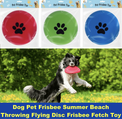 Dog pet frisbee summer beach - pet,