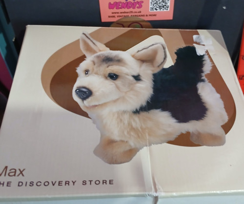 Vintage the discovery store - the,