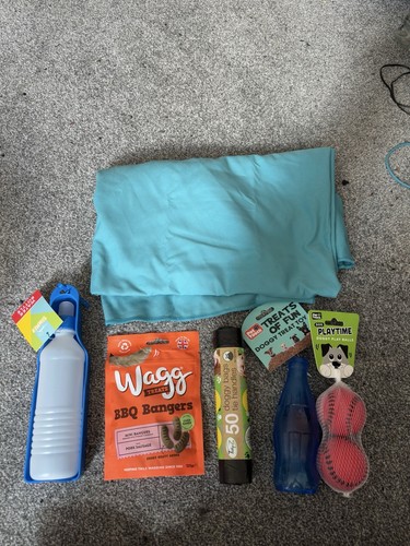 Dog walk pet bundle water - pet,