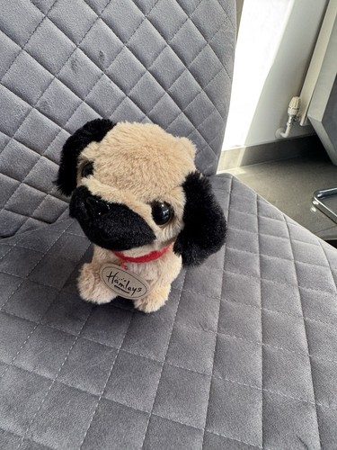 Cute small hamleys - small, &