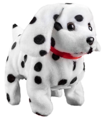 Dalmatian puppy dog walks - dalmatian,