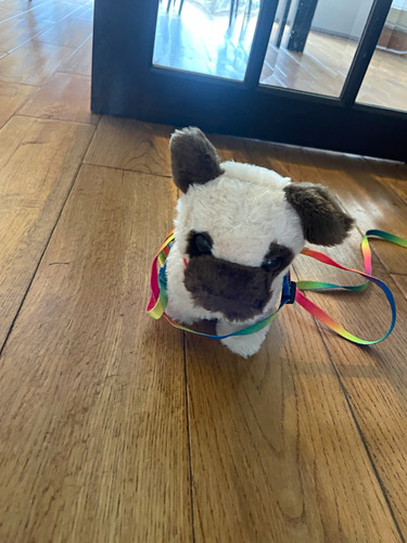 Small plush dog soft - small,