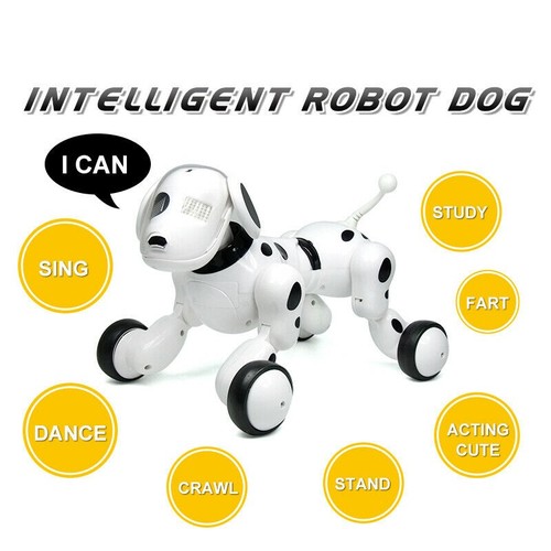 Smart dog sing - smart,