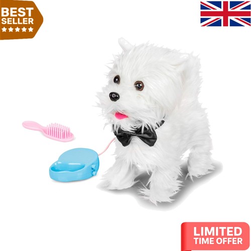 Adorable walking westie - westie,