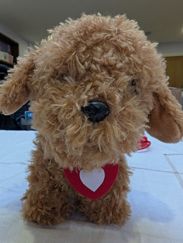 Waffle the wonder - dog,