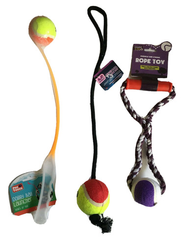 Dog walking tennis ball - dog,