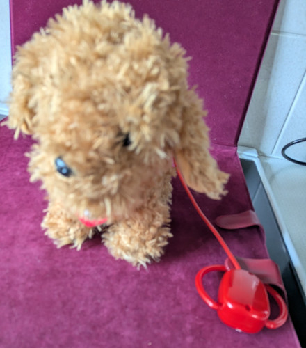 Waffle the wonder dog - waffle,