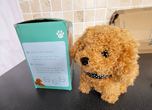 Electronic toy pet walking - electronic,